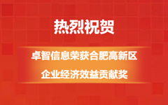 热烈祝贺!PG电子信息荣获合肥高新区企业经济效益贡献奖